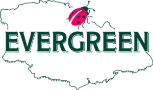 Gozo Evergreen logo